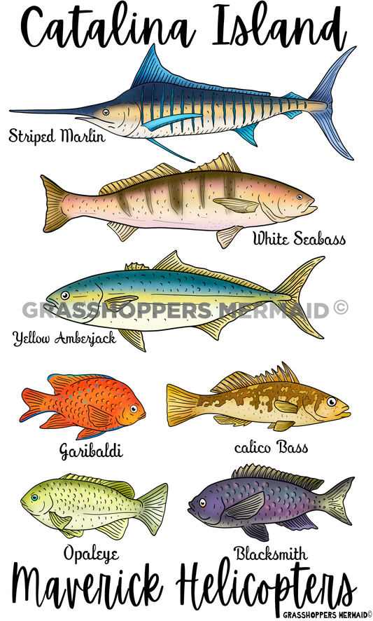 Fish Collage