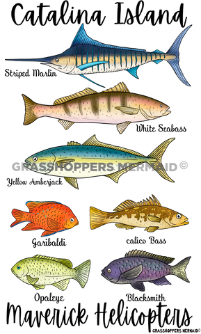 Fish Collage