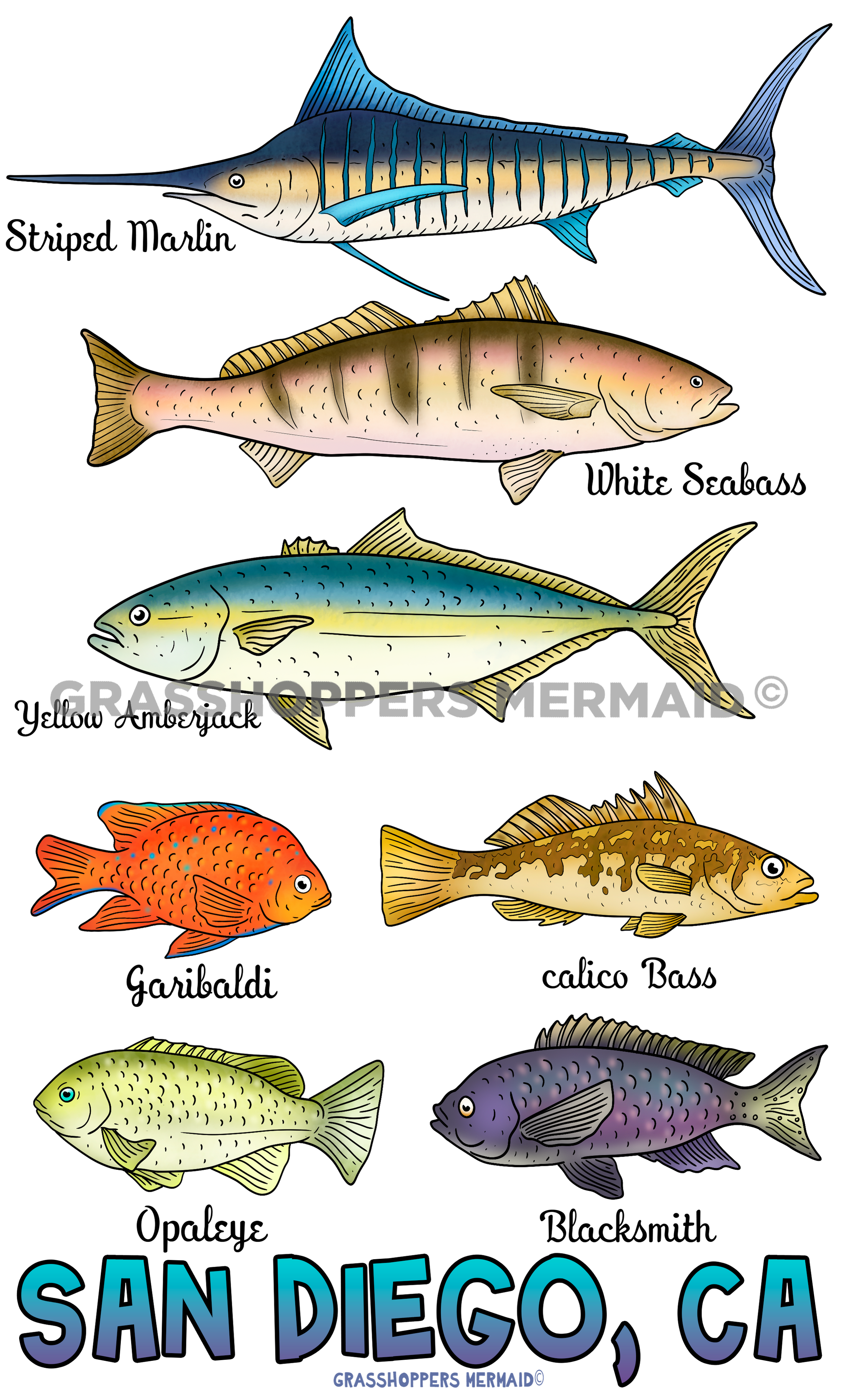 Fish Collage