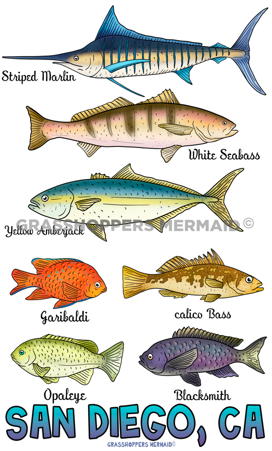 Fish Collage