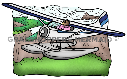 Float Plane Bear