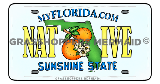 Florida License Plate