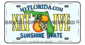 Florida License Plate