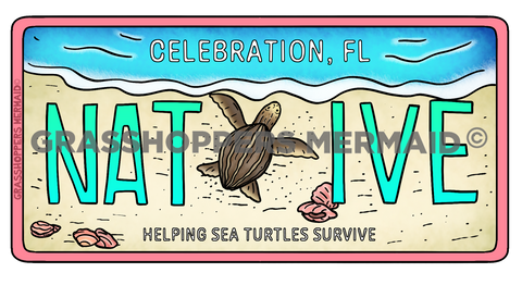 Florida Turtle License Plate