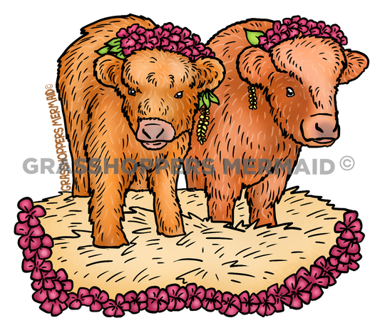 Flowery Highland Cows