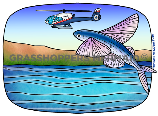 Flying Fish with Helicopter