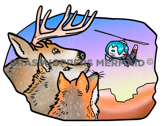 Forest Animals & Helicopter