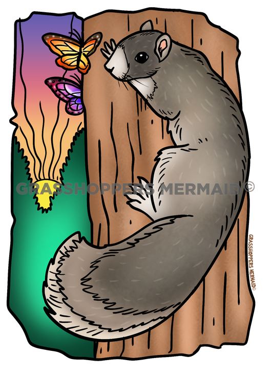 Fox Squirrel