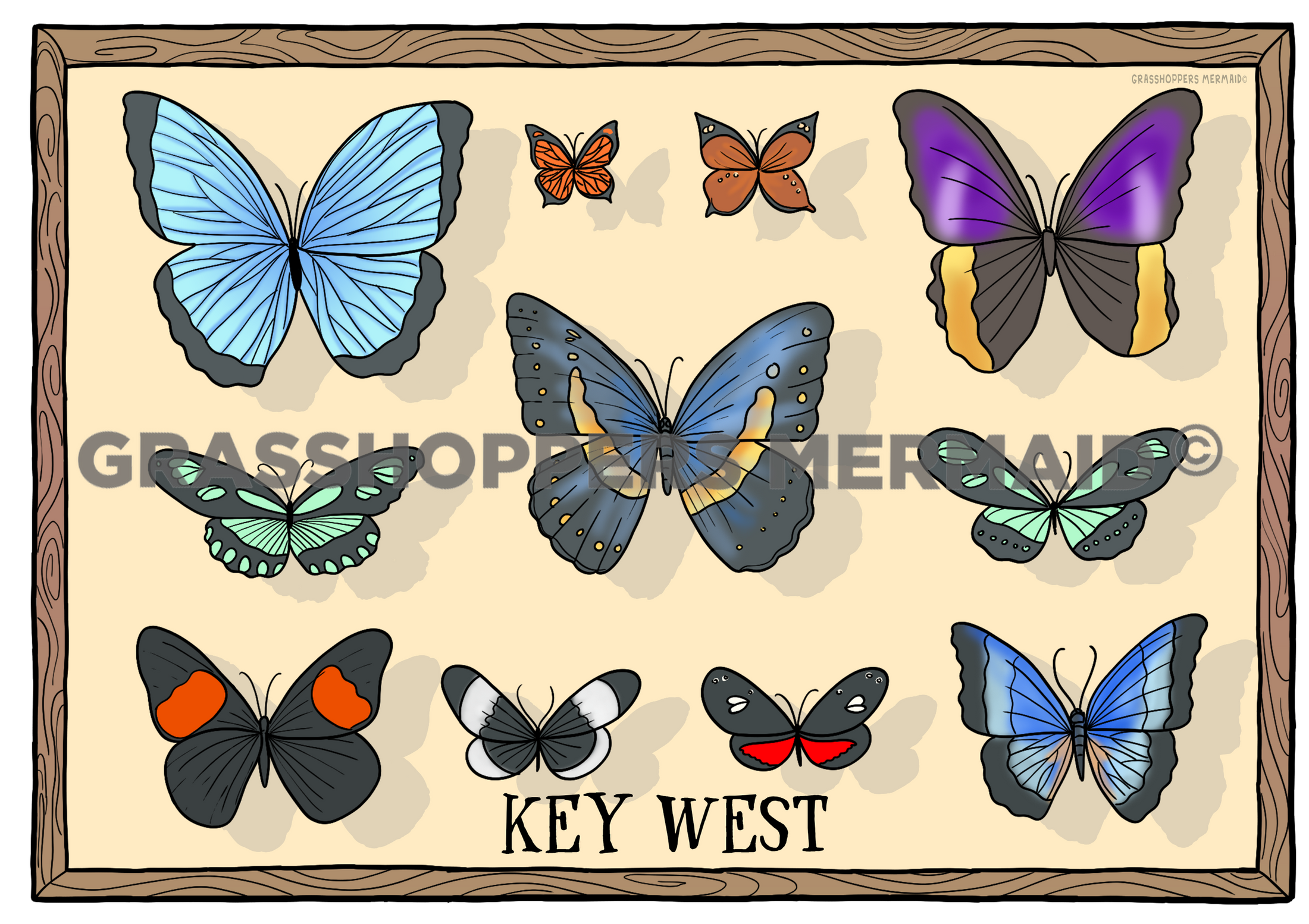 Framed Butterflies