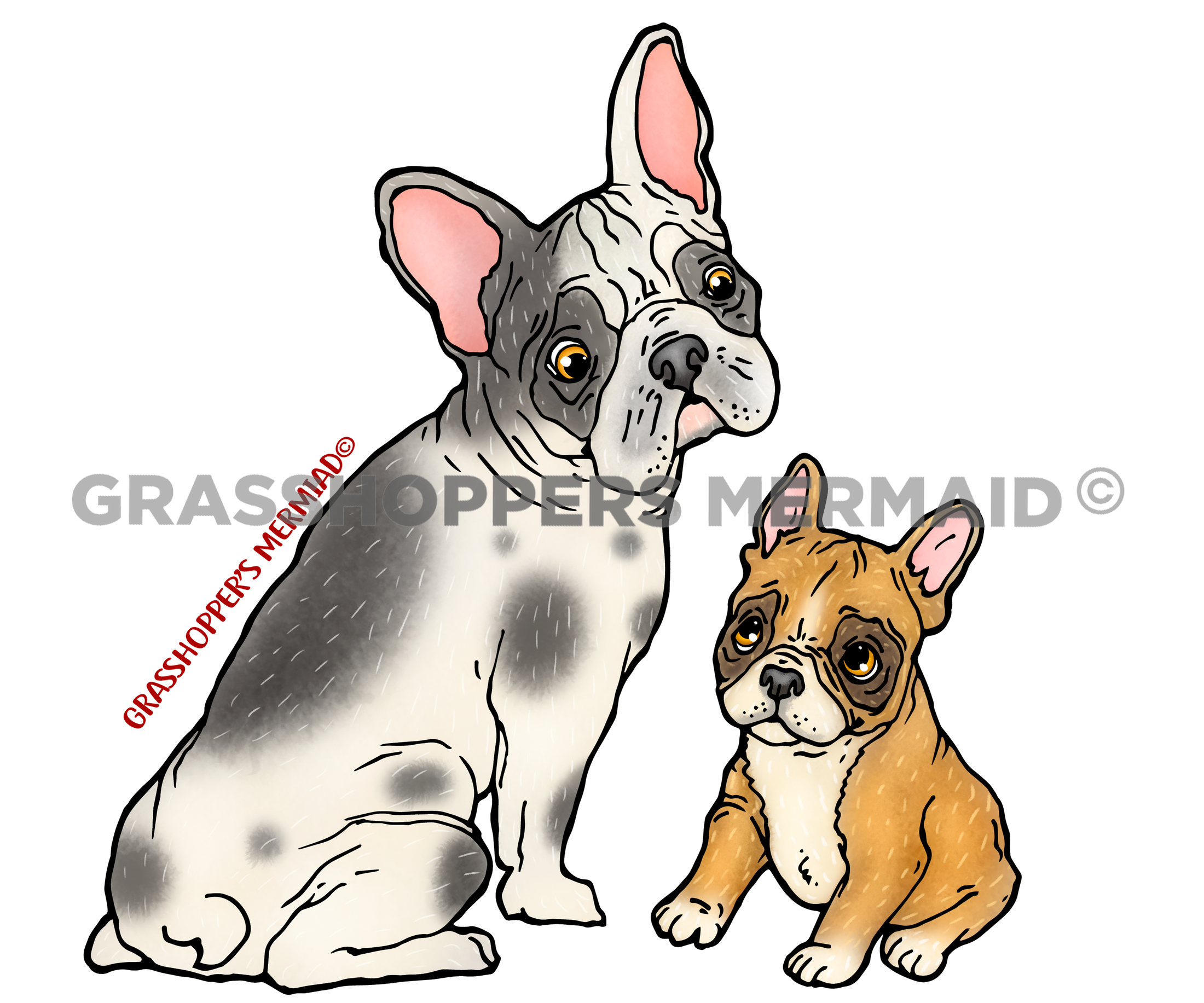 French Bulldog