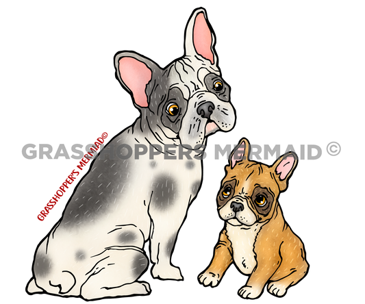 French Bulldog