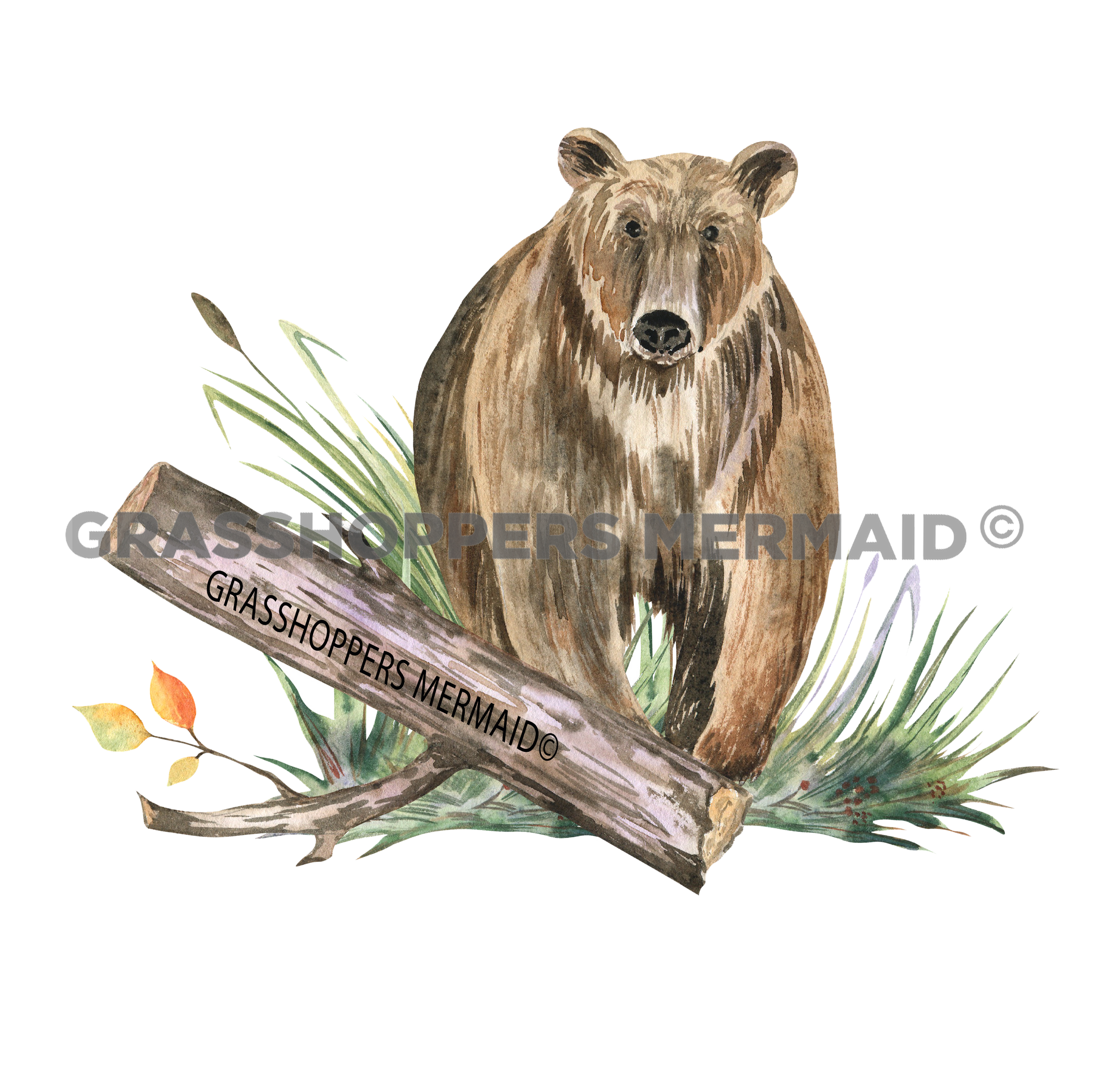 Friendly Bear