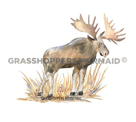 Friendly Watercolor Moose