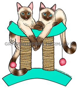 Gemini Cat