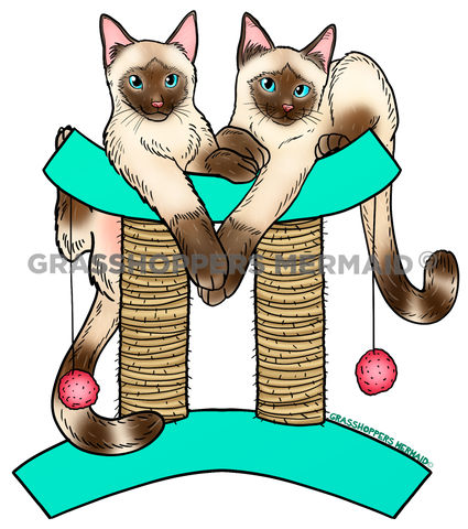 Gemini Cat