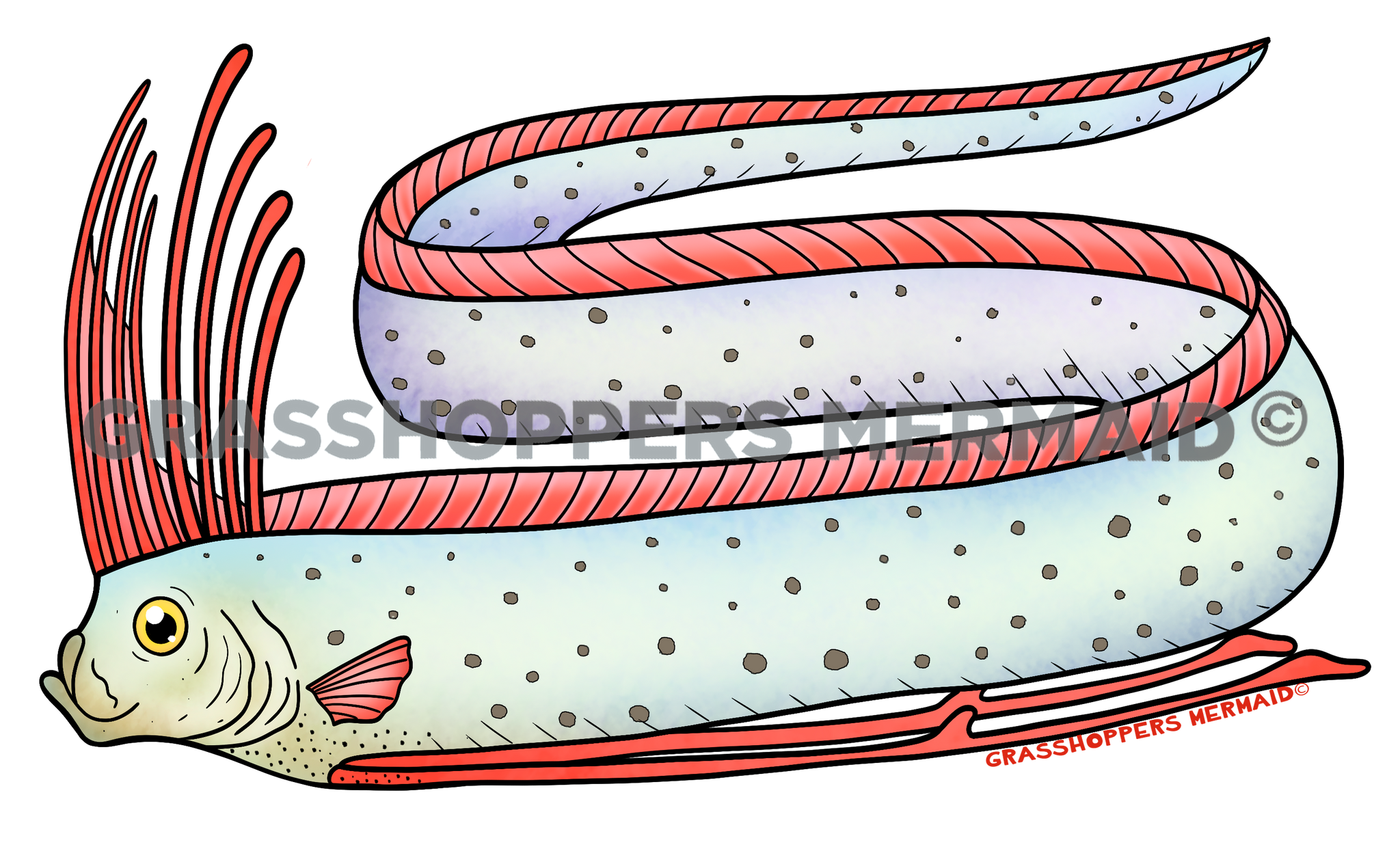 Giant Oarfish