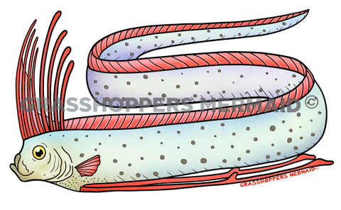 Giant Oarfish