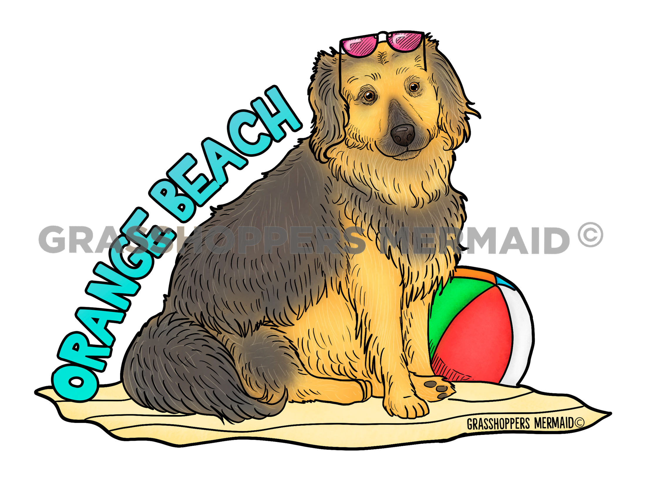 Beach Day Dog