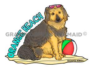 Beach Day Dog