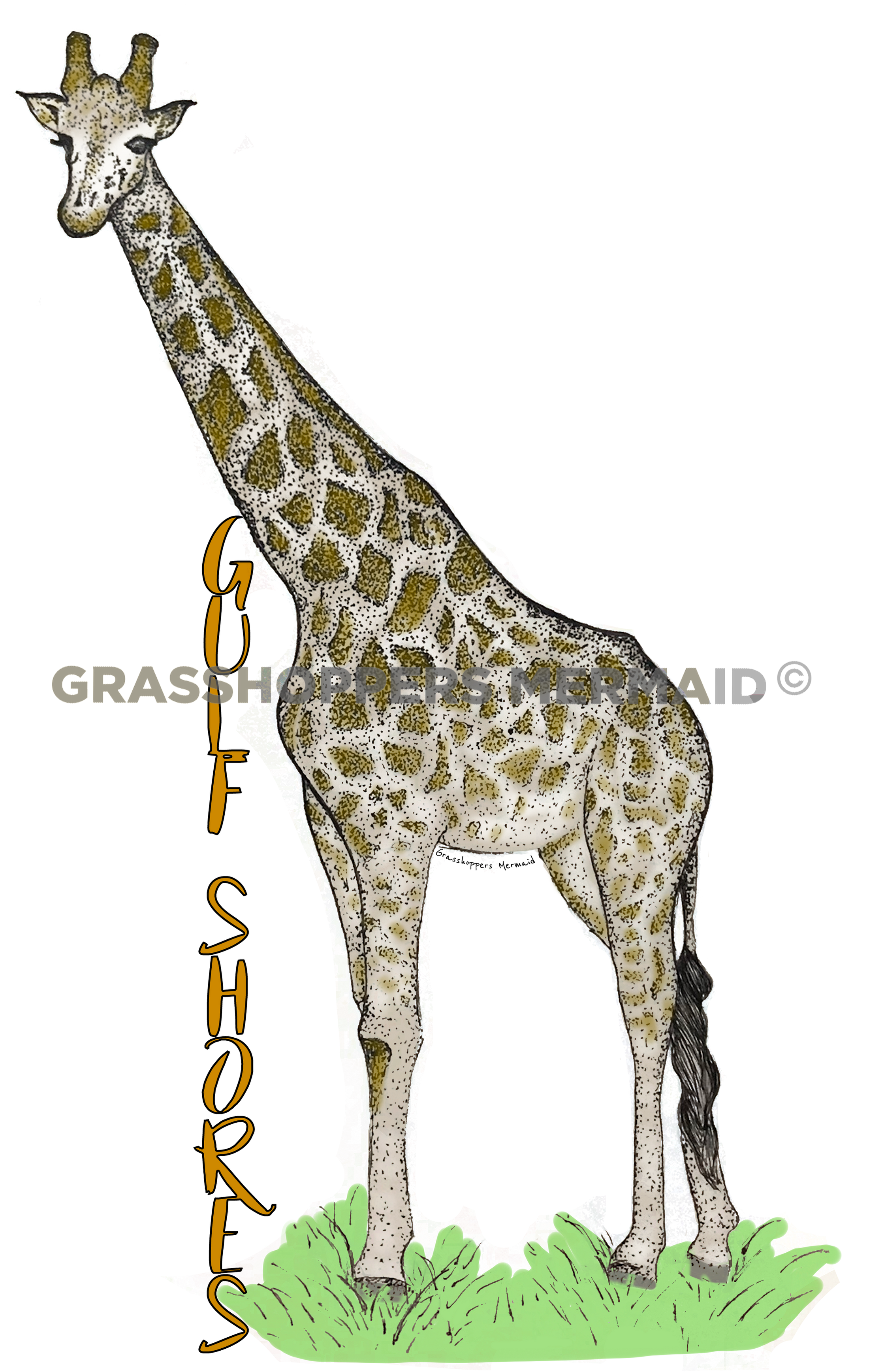 Giraffe