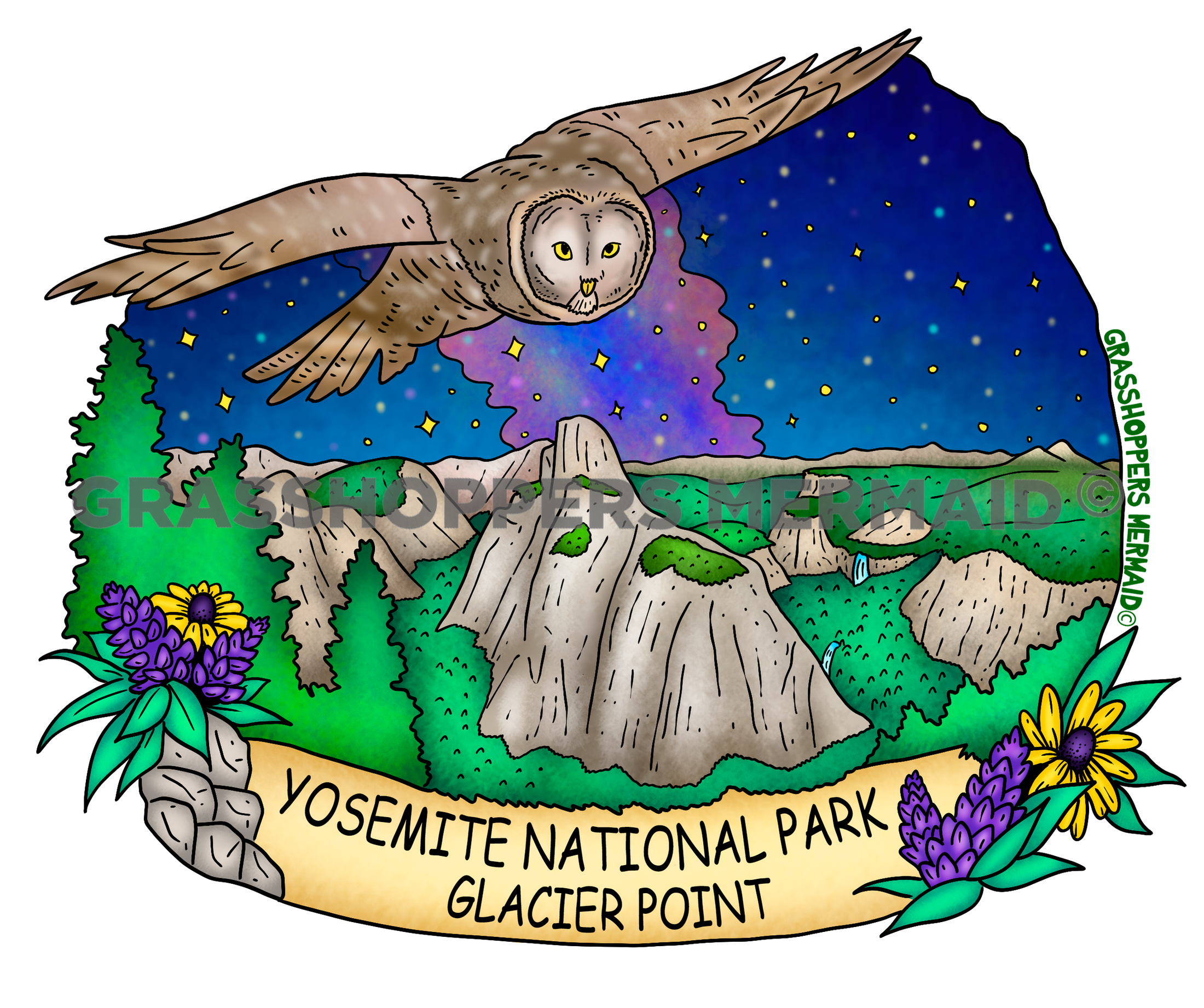 Glacier Point Night Owl