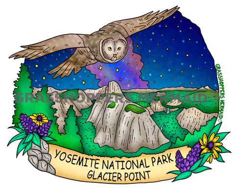 Glacier Point Night Owl