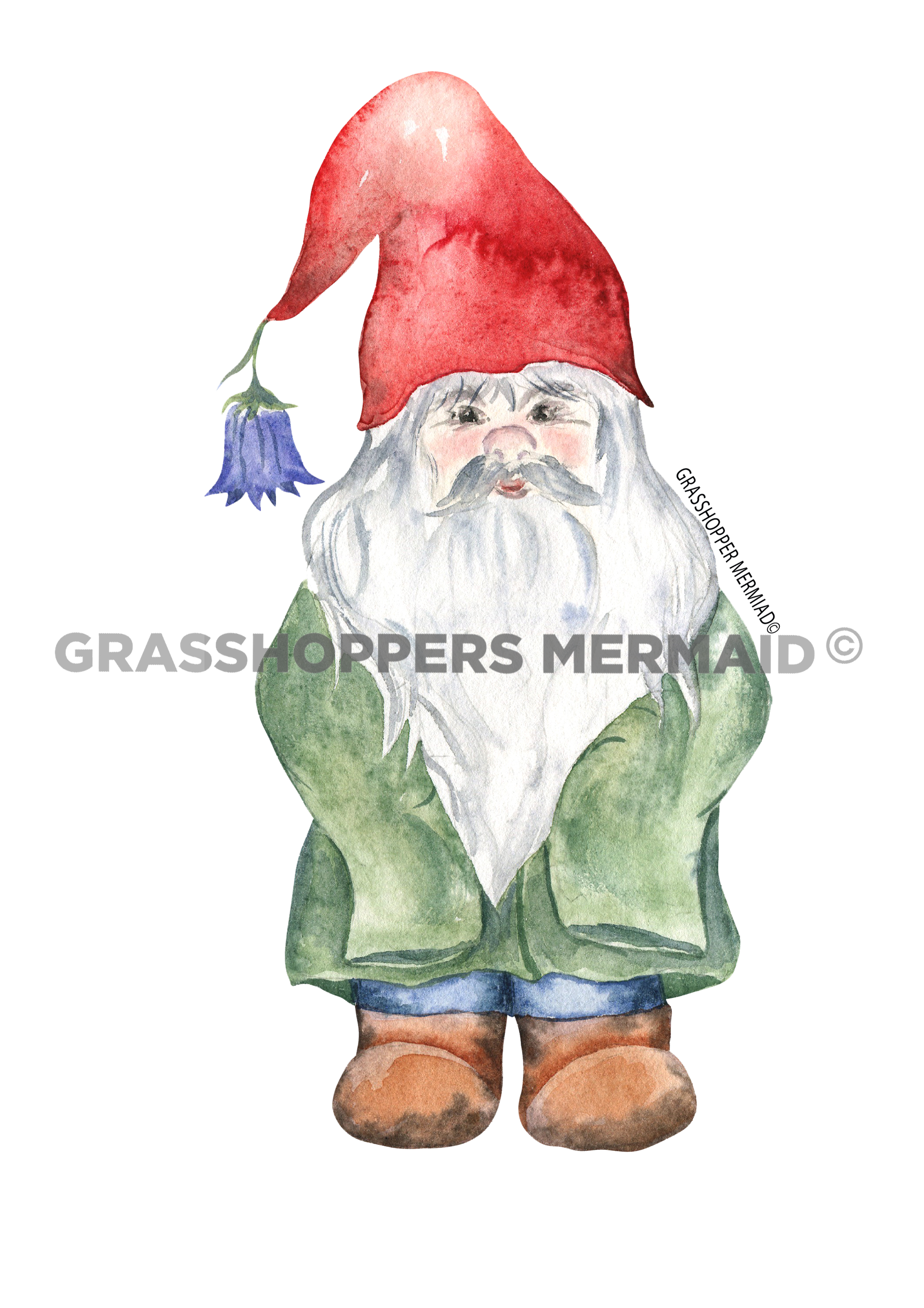 Traditional Solo Gnome