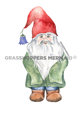 Traditional Solo Gnome