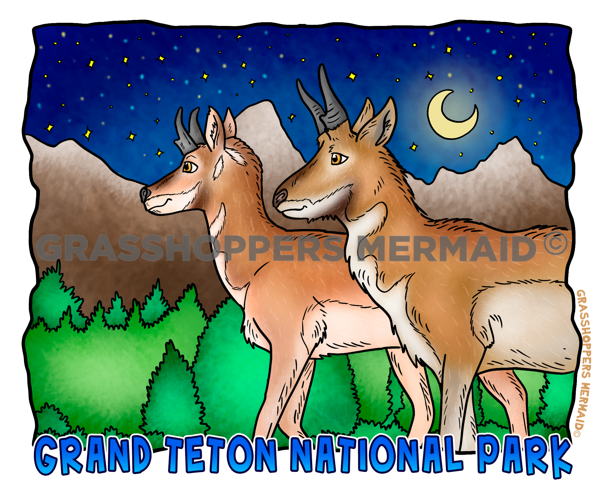 Grand Teton Night Pronghorns