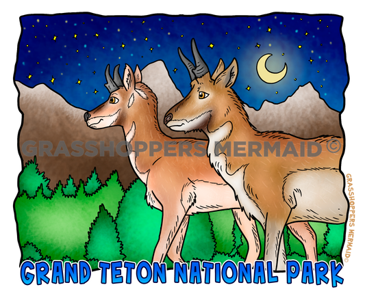 Grand Teton Night Pronghorns