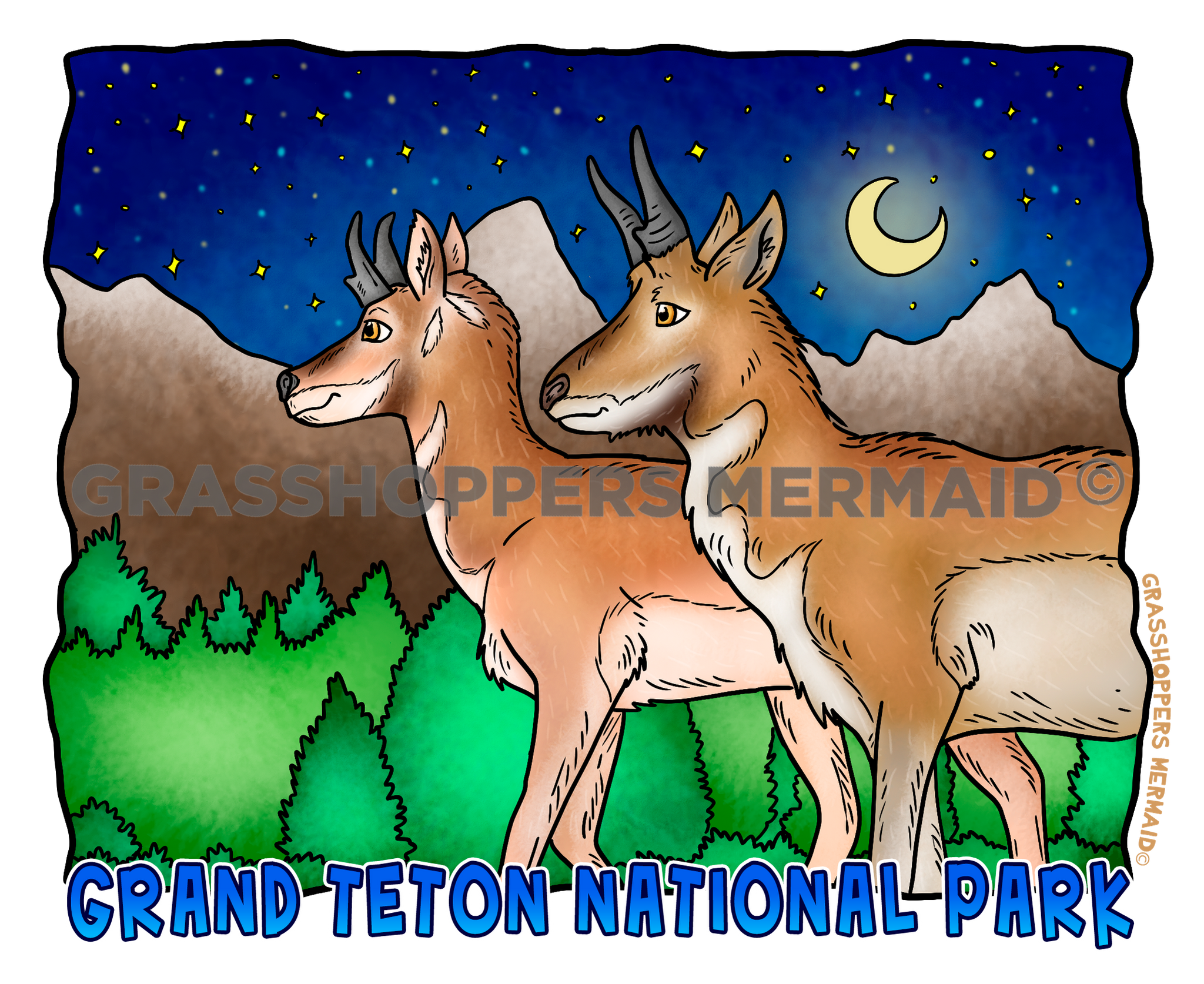 Grand Teton Night Pronghorns