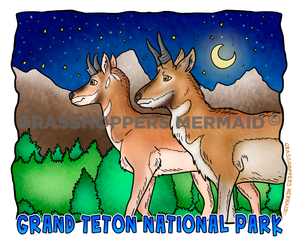 Grand Teton Night Pronghorns