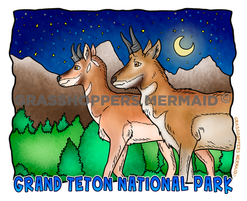 Grand Teton Night Pronghorns