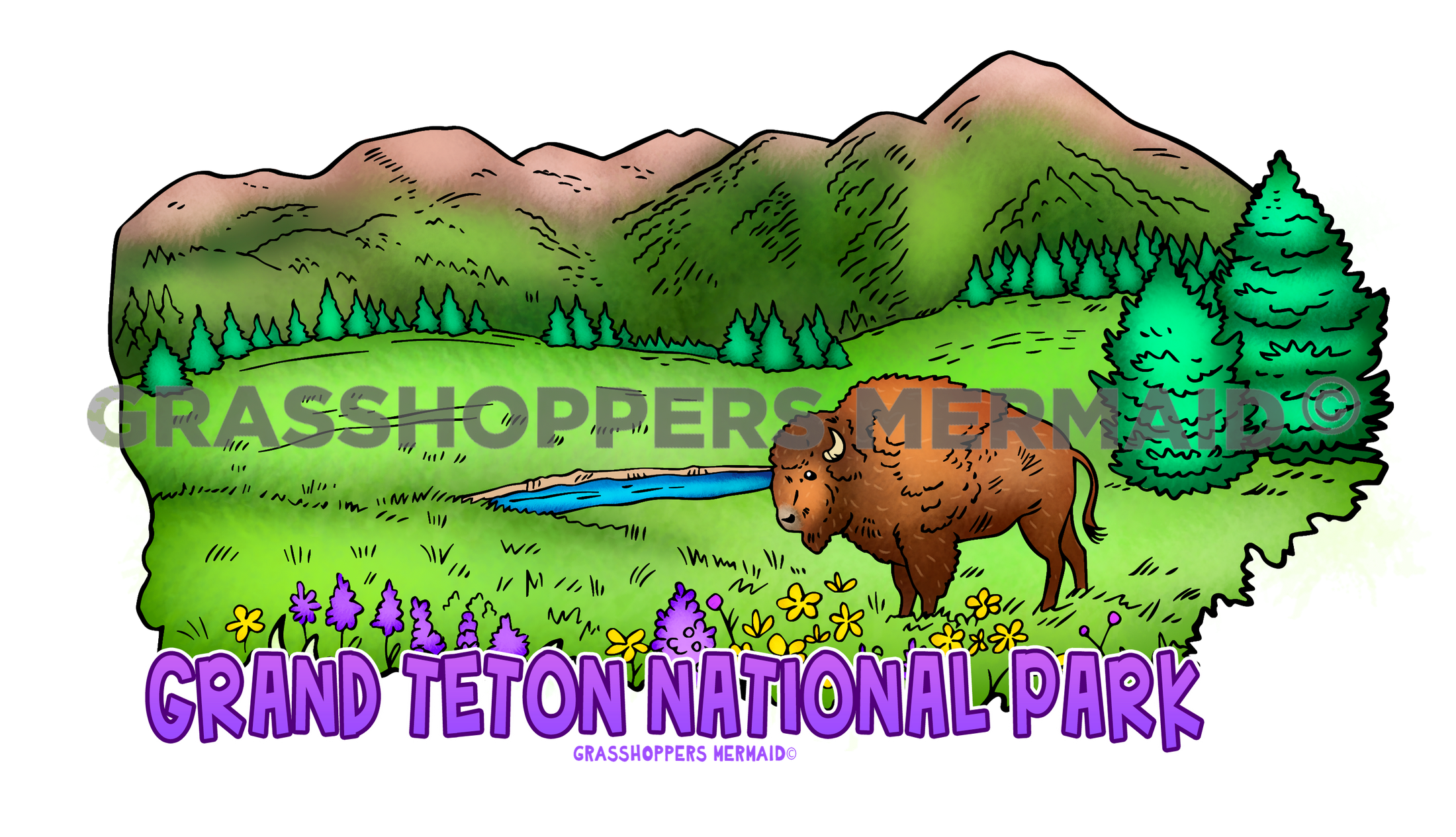 Granite Canyon Bison