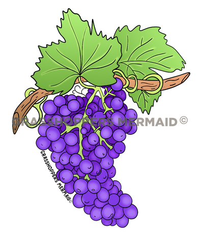 Grapes