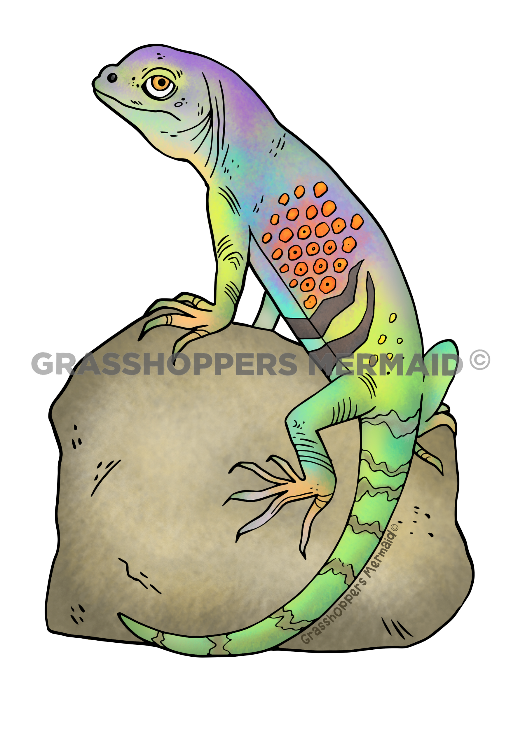 Great Earless Lizard