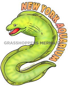 Green Moray Eel