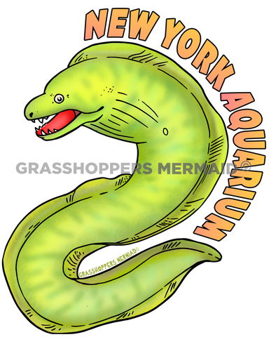 Green Moray Eel