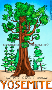 Grizzly Giant