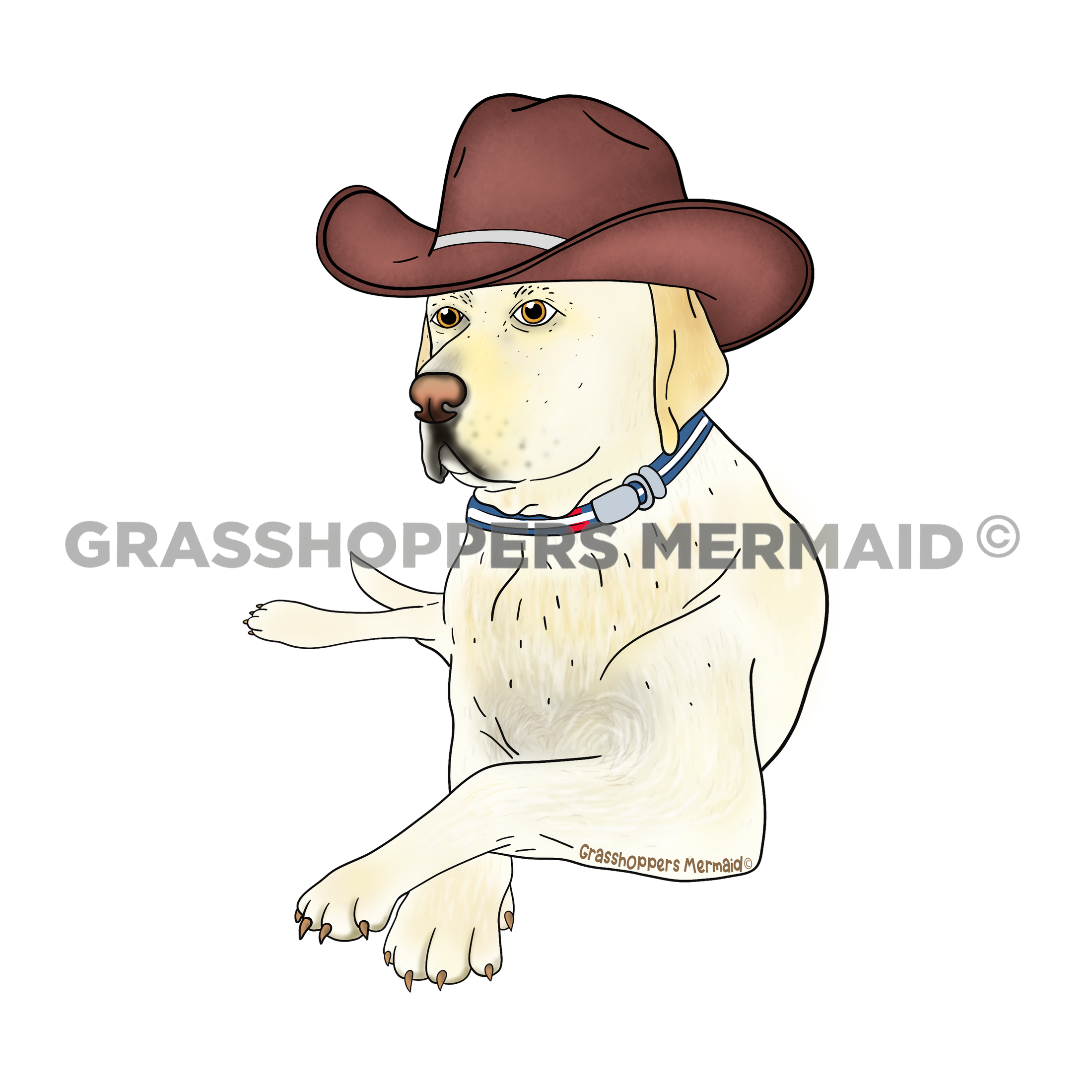 Gunner the Cowboy