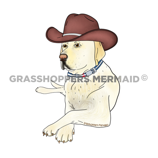 Gunner the Cowboy