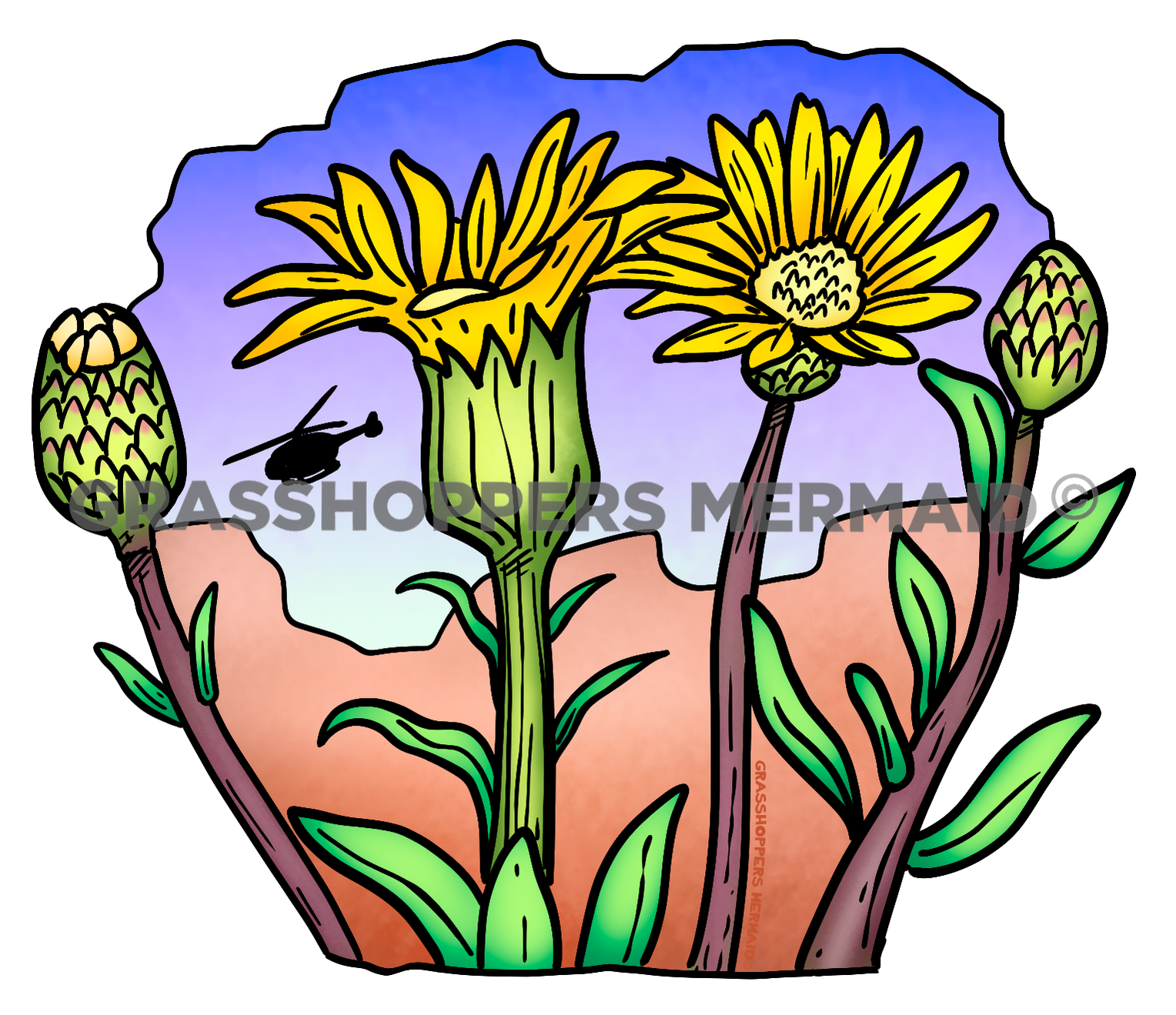 Hairy False Goldenaster Flower