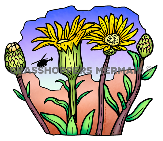 Hairy False Goldenaster Flower