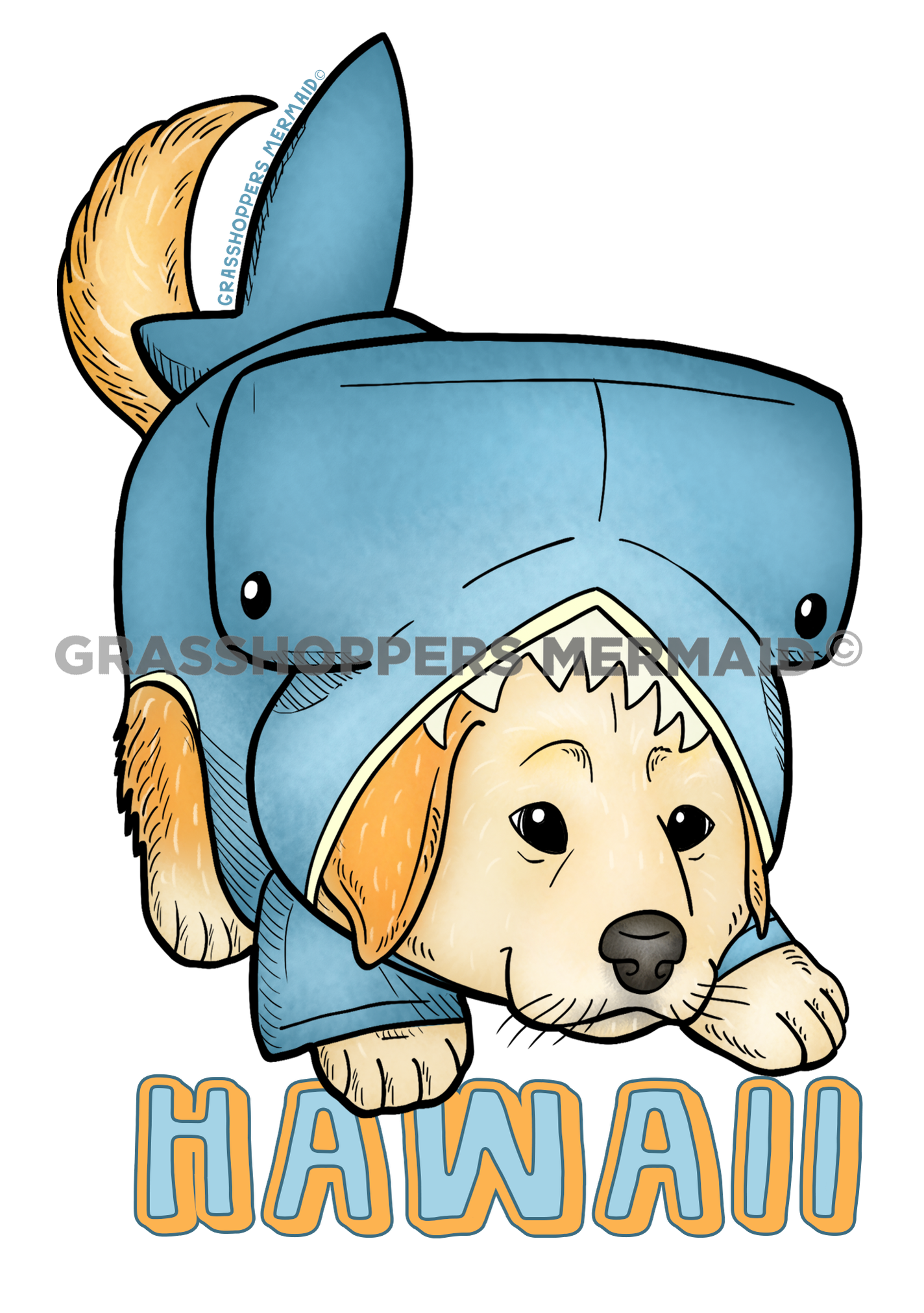 Hammerhead Puppy