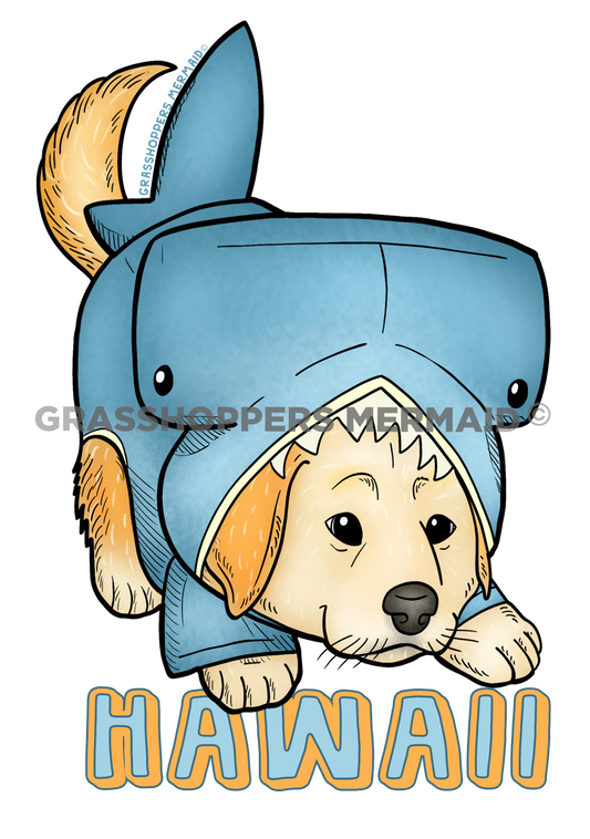 Hammerhead Puppy