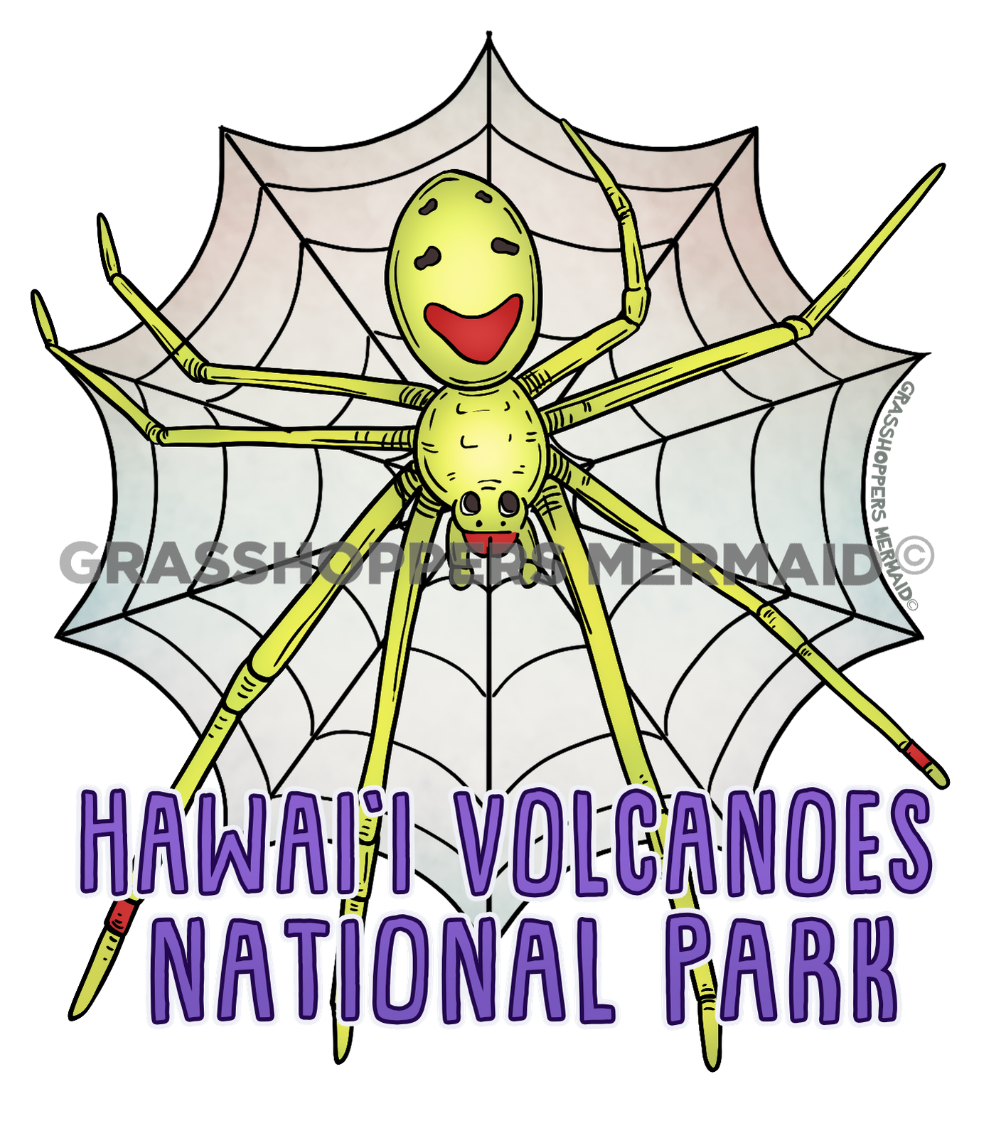 Happy Face Spider
