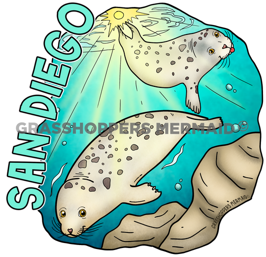 Harbor Seal Diving