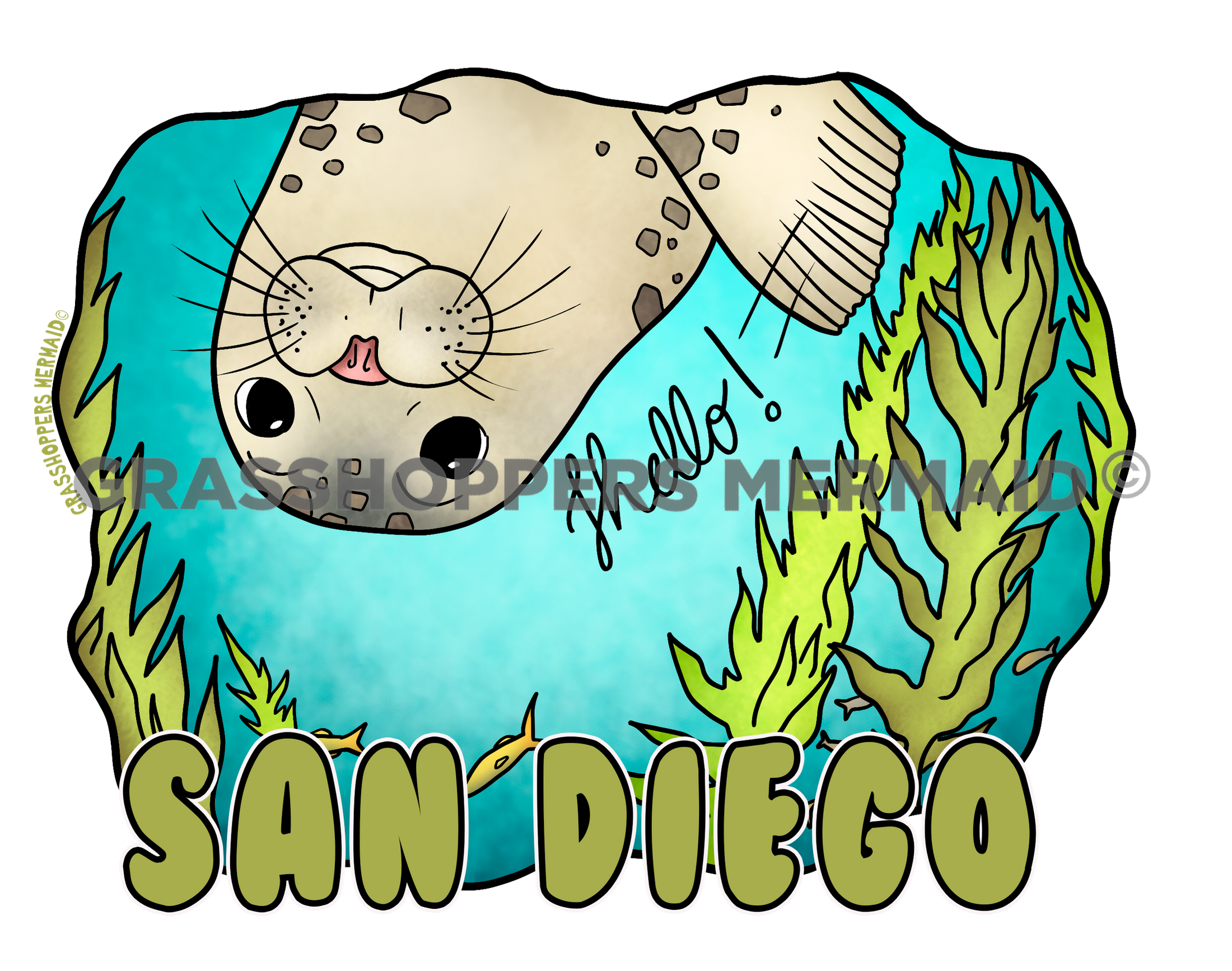 Harbor Seal Hello