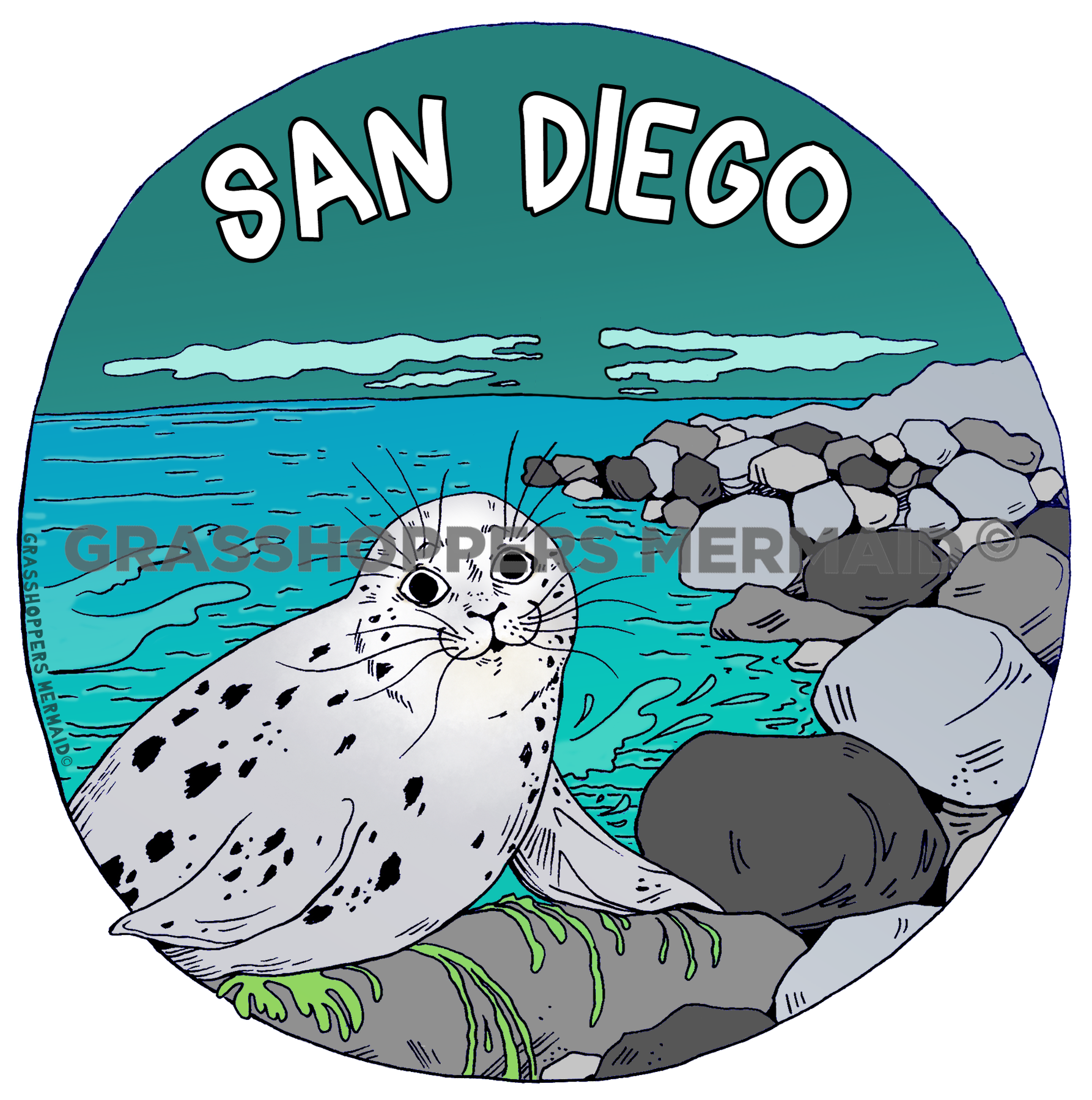 Harbor Seal Coastline
