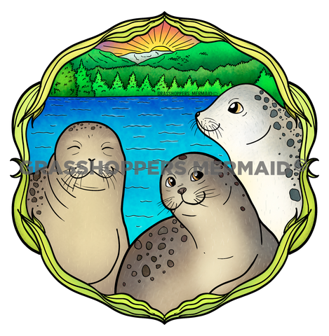 Harbor Seal Trio